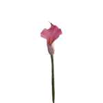 CARTUCHO ROSADO 12*0*72