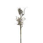 ESPIGA FRUTOS  90CM CREMA