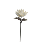 ESPIGA NARDO BLANCO 75CM