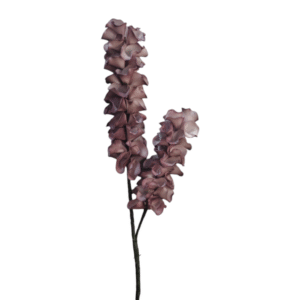 ESPIGA JACINTO X 2 MORADO 85CM