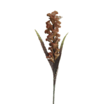 ESPIGA GINGER VERDE 110CM