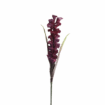 ESPIGA GINGER MORADO 110CM