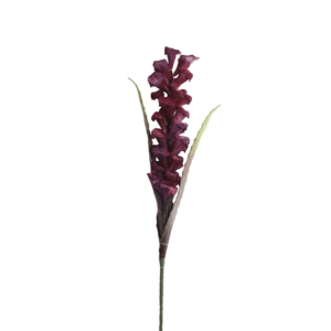 ESPIGA GINGER MORADO 110CM