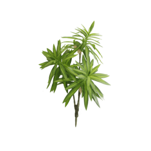 LIRIO DE BAMBU VERDE