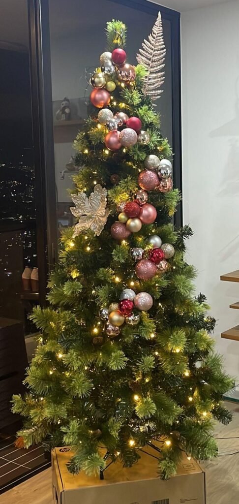 Imagen #1 de Gio Home