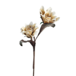 ESPIGA DALIA X 2 CREMA 90CM