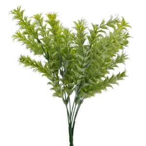 HIERBA ELEUSINE VERDE BLANCO