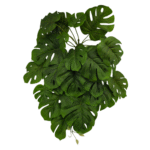 RAMILLETE 29 HOJAS COSTILLA DE ADAN 45CM