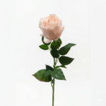 ROSA ROSADO PALIDO CON HOJITAS 68cm