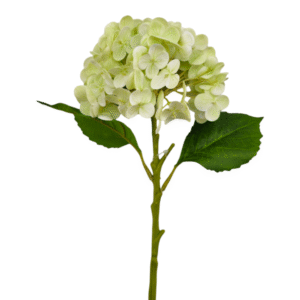 HORTENSIA REAL VERDE CLARO 49cm