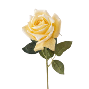 ROSA REAL AMARILLA 65cm