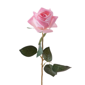 ROSA REAL ROSADA 65cm