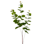 EUCALIPTO x 3 RAMAS 75cm