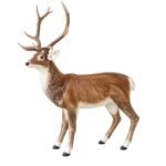 RENO BUCK ROJO 192 CM